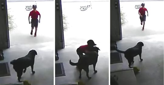 Frau bemerkt, wie ein unbekannter Junge sich in ihre Garage schleicht, um ihren Labrador zu umarmen