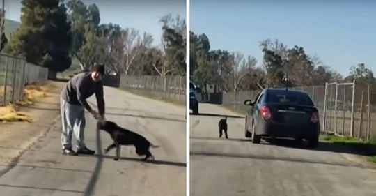 Mann lässt Hund zurück und wird dabei von einem gutherzigen Mann gefilmt, der den Hund in ein Tierheim bringt