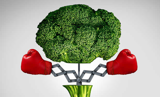 Brokkoli – Powergemüse gegen Krebs, Magengeschwüre und Arthrose