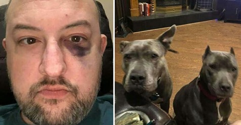 Mann adoptiert ausgesetzte Pitbulls: Hunde revanchieren sich, als sie ihn von Überfall retten