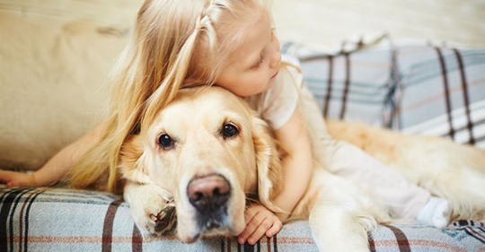 Vierjährige schreibt Brief an verstorbenen Hund – und erhält rührende Antwort