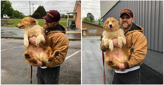 Familie, die durch Tornado eingeschlossen war, kommt mit Hund zusammen, der ihr Leben rettete