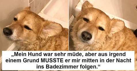 Diese Bildergalerie zeigt rührende Fotos