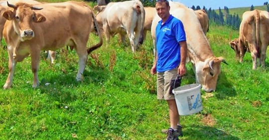 Nach Kuh-Urteil: Erster Landwirt riegelt Alm ab