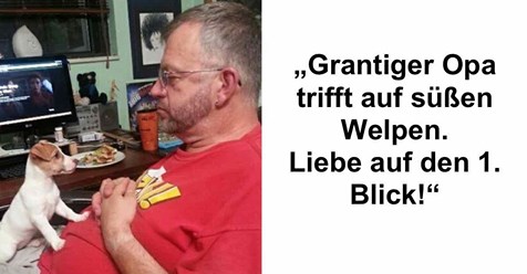 10 Hunde, die zum 1. Mal auf ihre neue Familie treffen