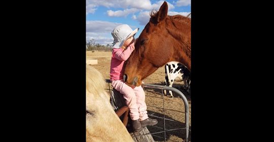 Pferd verliebte sich in süße 3-Jährige, als es sie singen hörte