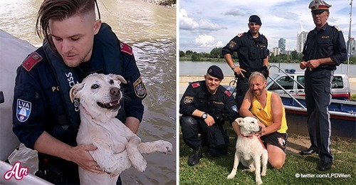 3 Polizisten retteten Hund vor dem Ertrinken aus der Donau