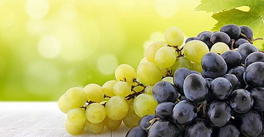 Weintrauben für die Schönheit: So nutzen Sie die Anti-Aging-Früchte