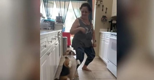 Oma fängt an zu tanzen und Beagle macht mit