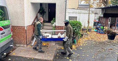 RUND 100 TIERE VERWAHRLOST Tierschützer retten 55 Langohren in Hamburg
