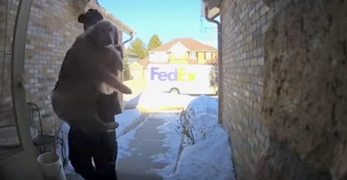 FedEx Fahrer bringt entlaufenen Hund zurück nach Hause  Wahrlich unser Familienheld