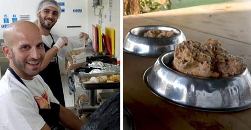 Ein Küchenchef beschließt, das nicht gegessene Essen seiner Kunden an Tiere in örtlichen Tierheimen zu spenden