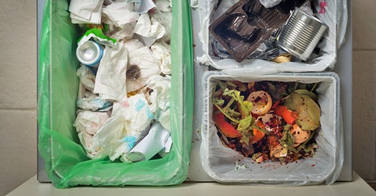Mülltrennung: Die 7 größten Abfall-Mythen auf dem Prüfstand