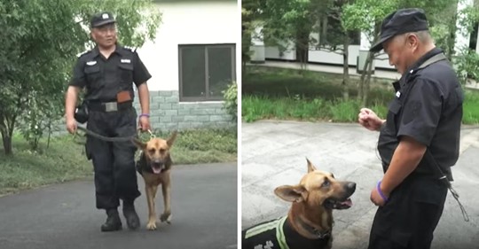 Polizist sieht, wie Polizeihunde nach der Rente in miserablen Zuständen leben und baut für sie ein wunderschönes Heim.