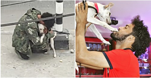 Treuer Hund tröstet erfolglosen Straßenmusiker, der um Anerkennung kämpft