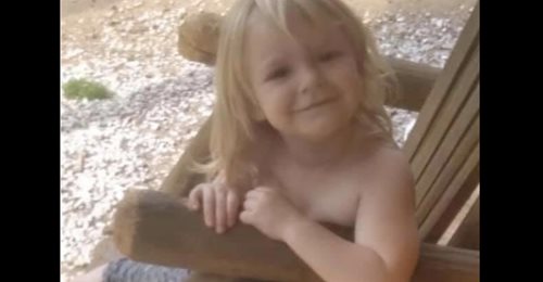 3 Jahre altes Mädchen lebend gefunden, nachdem es fast 2 Tage allein in der Wildnis verbrachte
