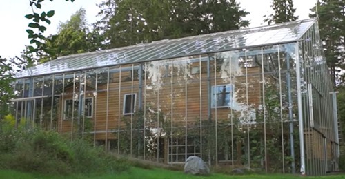Dieses schwedische Paar baute für mehr Wärme und um Nahrung anzubauen ein Gewächshaus um ihr Haus herum.