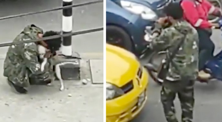 Armer junger Mann umarmt seinen Hund, nachdem er vor einer Ampel aufgetreten ist: Er war niedergeschlagen und verzweifelt