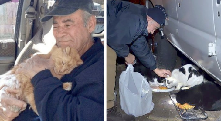 Ein 76-jähriger Mann füttert die streunenden Kätzchen in seiner Nachbarschaft, indem er den ganzen Tag lang Schrott verkauft...