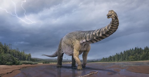 Neue Dinosaurierart in Australien gefunden – das Tier hatte kolossale Ausmaße