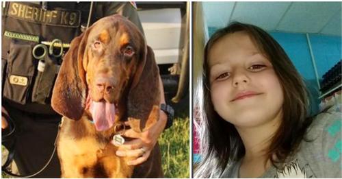 Heldenhafter K9-Polizeihund spürt entführtes 6-jähriges Mädchen auf – erschnupperte sie über den Duft