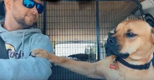 Hund aus Tierheim weigert sich auf Autofahrt den Arm seines neuen Besitzers loszulassen