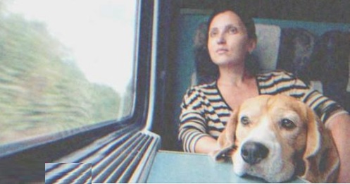 Mann beleidigt Frau über kranken Hund, der im Zug bellt - Story des Tages