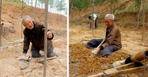 Behinderter alter Mann hat fast 20 Jahre lang Bäume gepflanzt: Jetzt ist ein echter Wald gewachsen