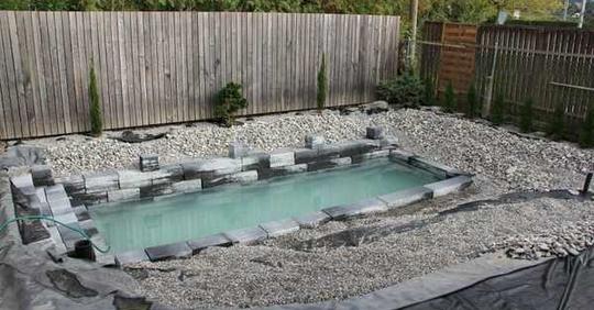 Familie verwandelt ihren kleinen Garten in einen natürlichen Pool.