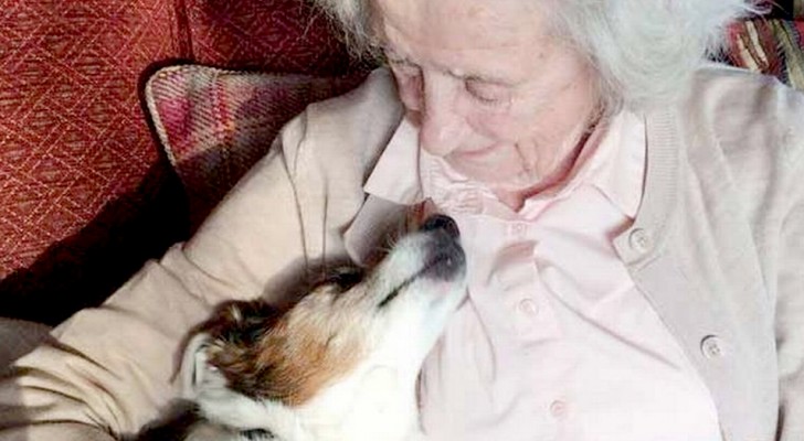 96-jährige Frau adoptiert 17-jährigen Hund: 