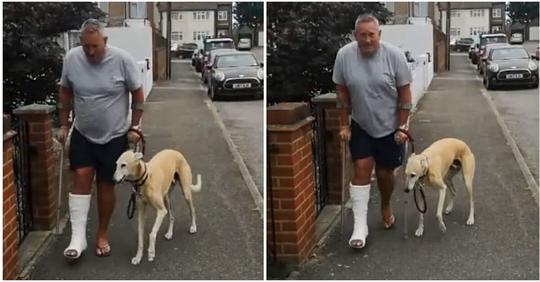 Nach Besuch beim Tierarzt und hoher Rechnung erfährt Mann, warum sein Hund humpelt – aus Sympathie zu ihm
