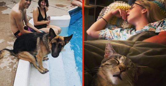 Hund, Katze, Schildkröte: 14 Haustiere, die sich wie ihre Herrchen und Frauchen benehmen