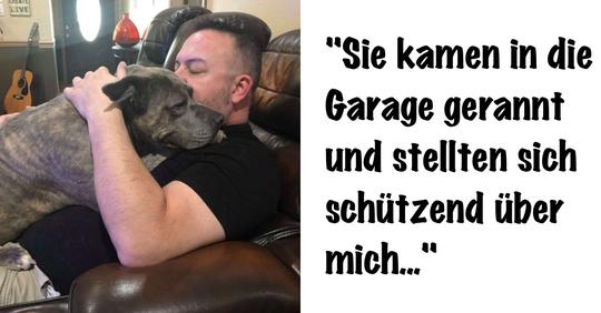 Hunde kommen neuem Besitzer bei Überfall zu Hilfe