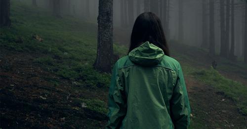 Mädchen (8) verschwindet bei Familienausflug in Wald an tschechischer Grenze – Suche läuft seit 2 Tagen