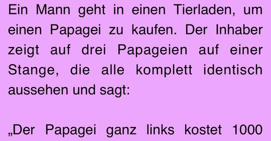 Tier-Witz: Papageien haben verborgene Fähigkeiten