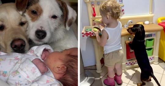 15 Fotos, die von der tiefen Zuneigung zeugen, die zwischen einem Kind und einem Hund entstehen kann