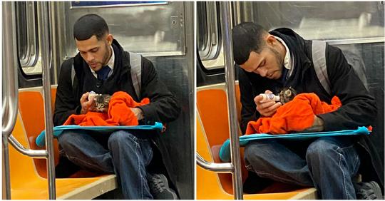 Frau bemerkt Mann, der in der U-Bahn ein streunendes Kätzchen mit einer Flasche füttert: Das Foto geht viral