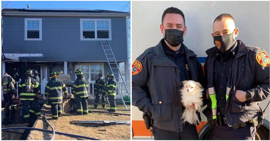 Sie jaulten flehend aus brennendem Haus: Polizisten rennen in Feuer & retten Haustiere