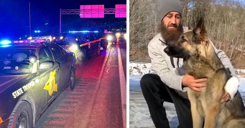 Ein auf der Autobahn herumlaufender Hund führt die Polizei zum Ort eines Unfalls und rettet sein Herrchen