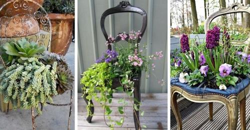 Irgendwo ein kaputter Stuhl? Werfen Sie ihn nicht weg, sondern verwandeln Sie ihn in ein schönes Pflanzengefäß für den Garten!