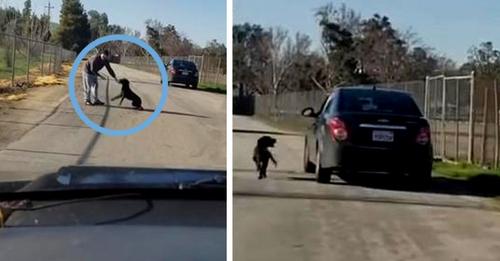 Dieser Hund jagt verzweifelt dem Auto seines Besitzers hinterher, nachdem er verlassen wurde