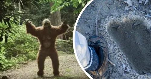 Frau schildert Bigfoot-Angriff: „Schrecklichste, was ich je gesehen habe“