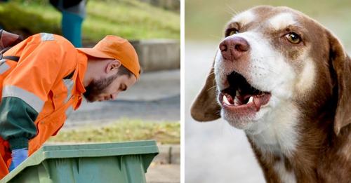 Ein Hund zieht die Aufmerksamkeit eines Müllmanns auf sich und rettet das Leben seiner alten Besitzerin