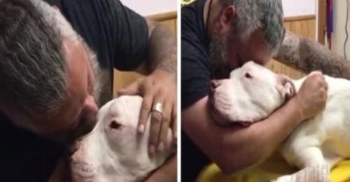Mann umarmt seinen 14-jährigen Hund unter Tränen der Hund stirb Sekunden später