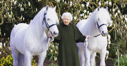 Vor Geburtstag: Palast veröffentlicht neues Foto der Queen