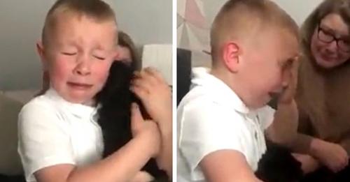 7-jähriger Junge kann beim Anblick eines Welpen die Tränen nicht zurückhalten: 