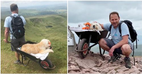 Mann nimmt seinen unheilbar kranken Hund mit auf eine letzte Reise – schiebt ihn in Schubkarre auf Berg