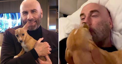 John Travolta zeigt süßes Video seines Hundes, der ihn mit Küssen aufweckt
