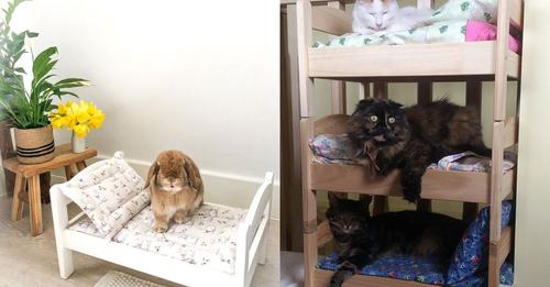 10 originelle Möglichkeiten, um IKEA Duktig-Bettchen für Haustiere zu verwenden!