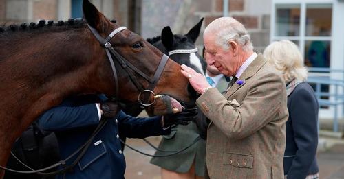 König Charles III. beginnt sein Erbe zu verhökern und verkauft Pferde der Queen